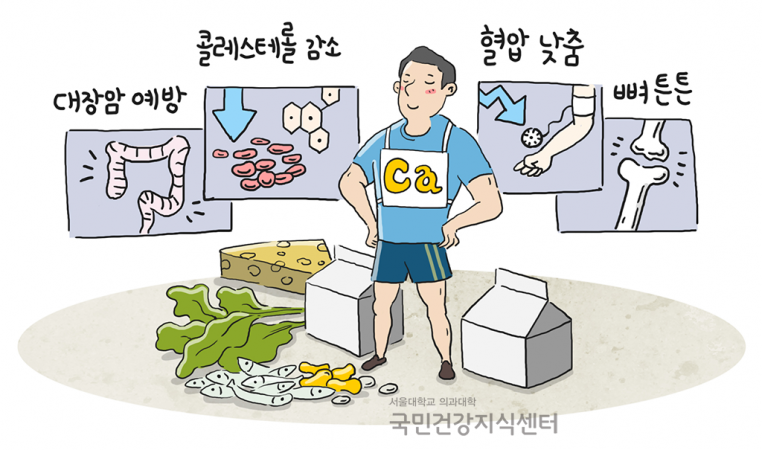 65_칼슘,-한국인에게-아직도-부족한-영양소